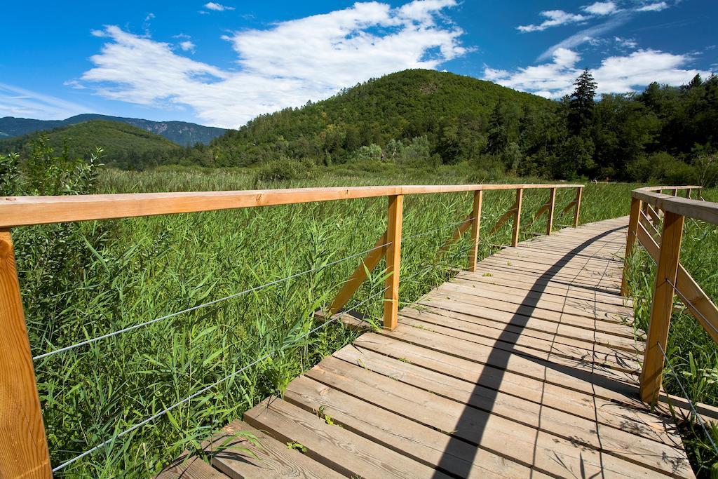 Residence Haus Kalterersee Caldaro Kültér fotó